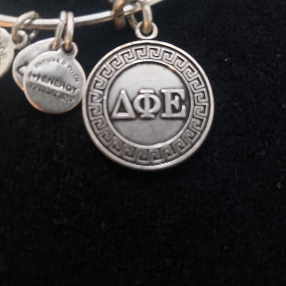 Alex and Ani Rafaelian Silver Delta Phi Epsilon 2012 - Picture 7 of 8